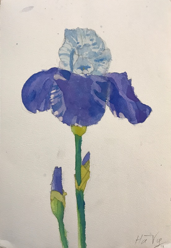 223.1.3.2017