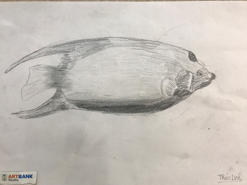 63.16.9.2017