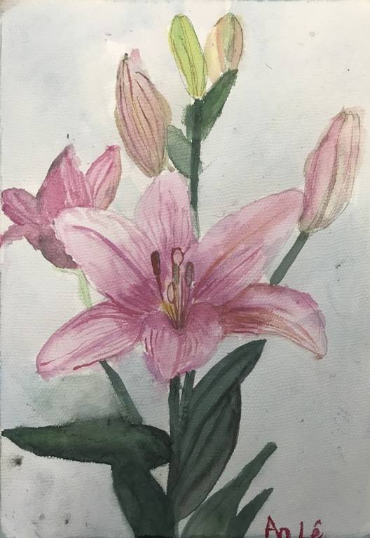 272.3.3.2018