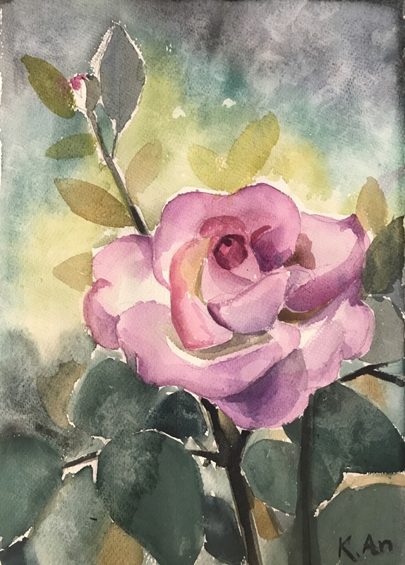 327.24.05.2018
